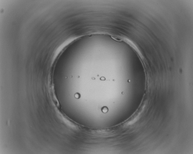 X0000076391149200610202058