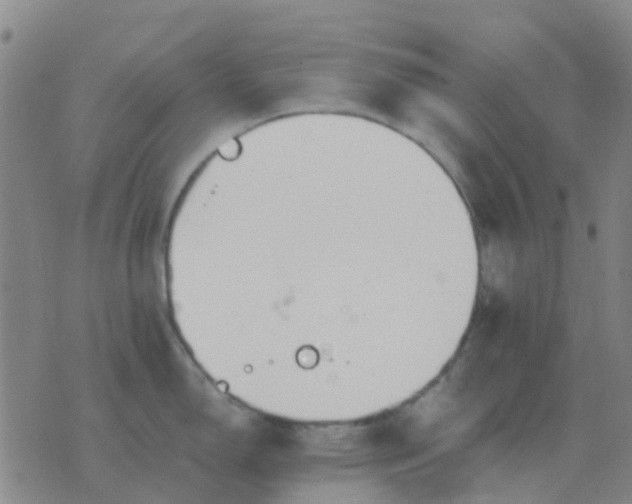 X0000076391150200610202058