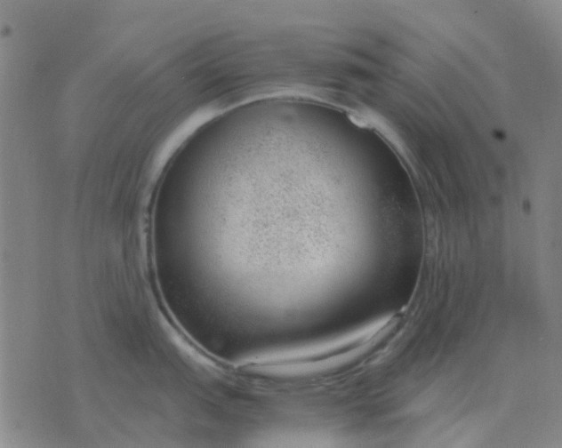 X0000076391151200610202058