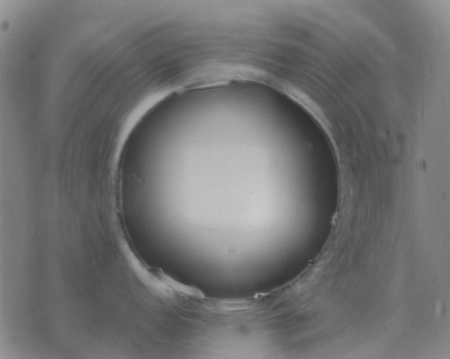 X0000076391152200610202058