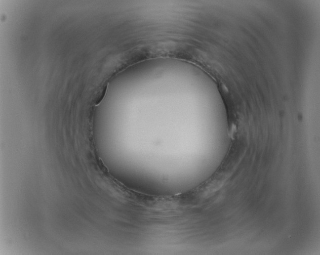 X0000076391153200610202057