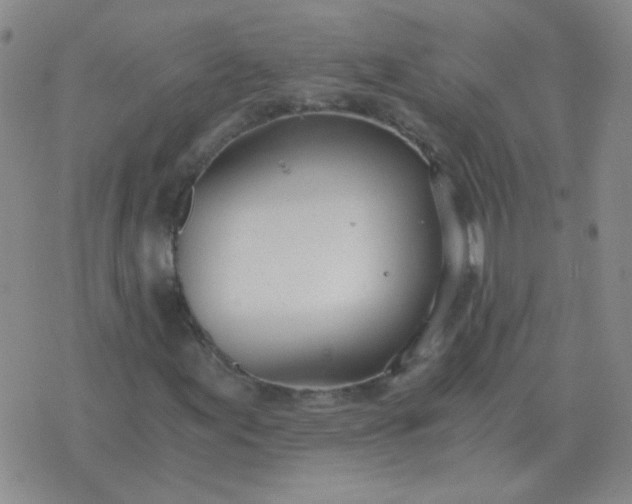 X0000076391155200610202057