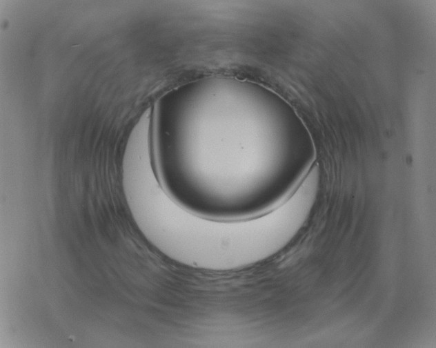 X0000076391156200610202057