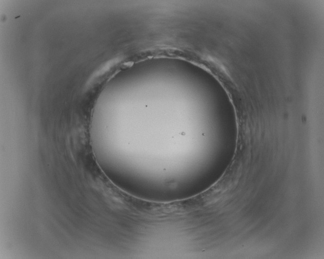 X0000076391159200610202057