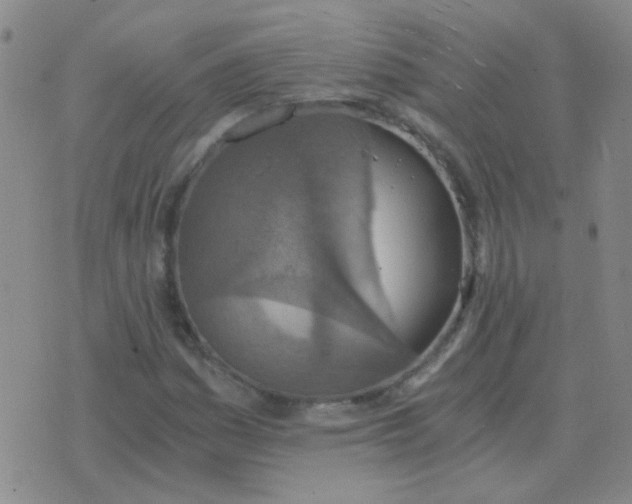 X0000076391161200610202057