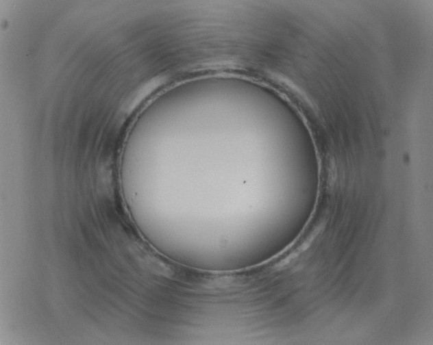 X0000076391162200610202057