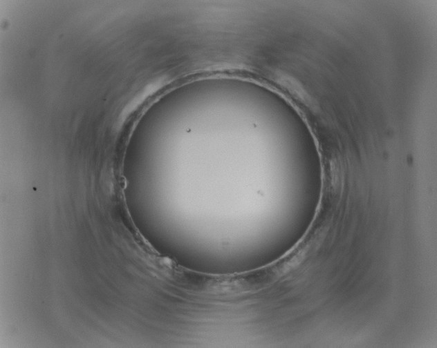 X0000076391165200610202057