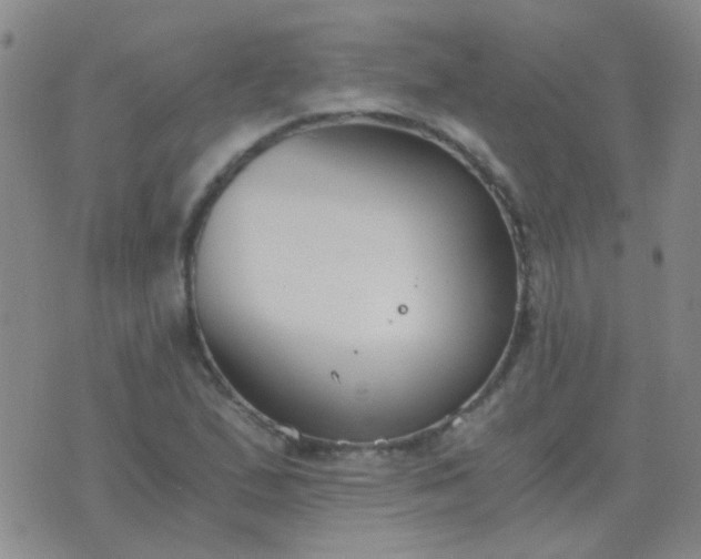 X0000076391167200610202057