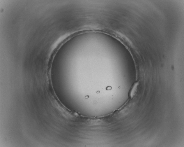 X0000076391168200610202057