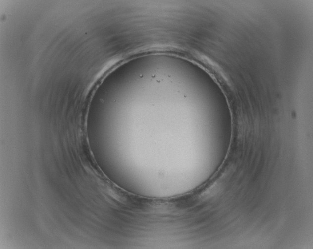 X0000076391170200610202057