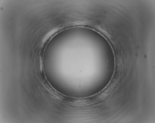 X0000076391171200610202057