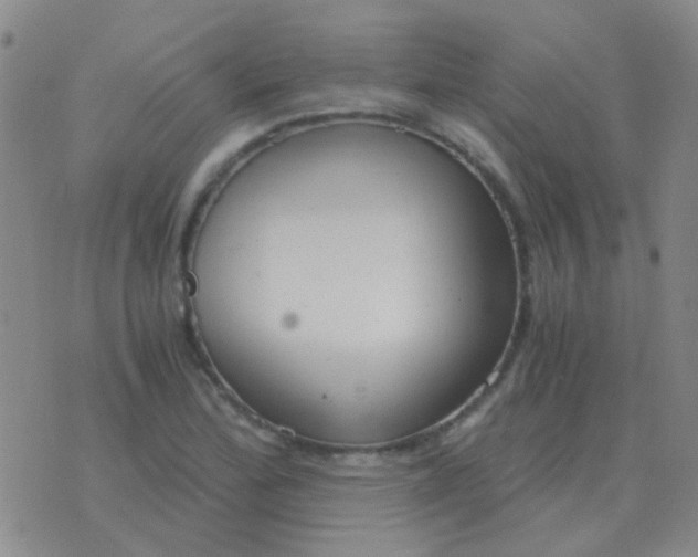 X0000076391172200610202057