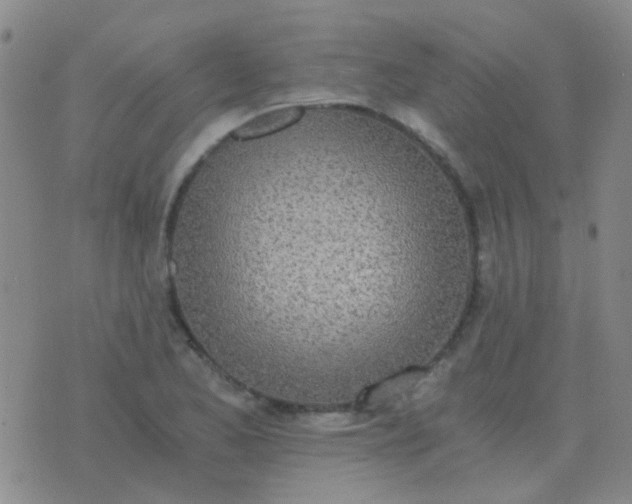 X0000076391173200610202057