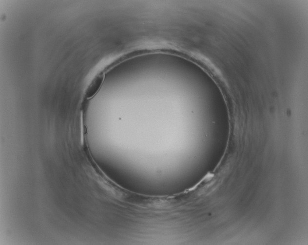 X0000076391175200610202057