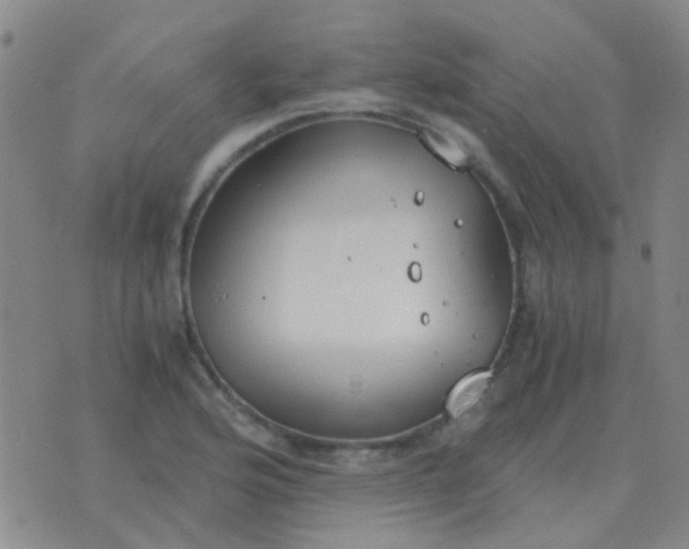 X0000076391176200610202057