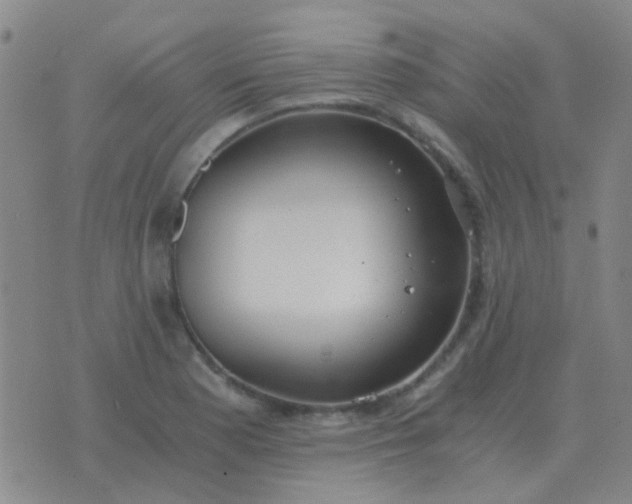 X0000076391177200610202057