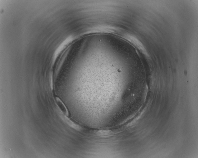 X0000076391180200610202057