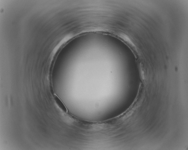 X0000076391181200610202057