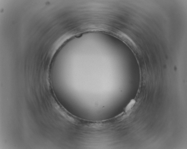 X0000076391182200610202057