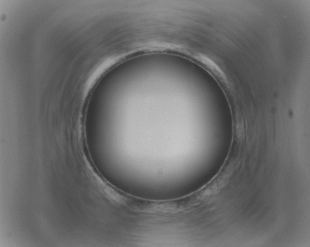 X0000076391183200610202057