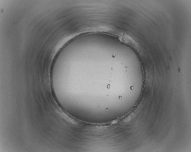 X0000076391184200610202057