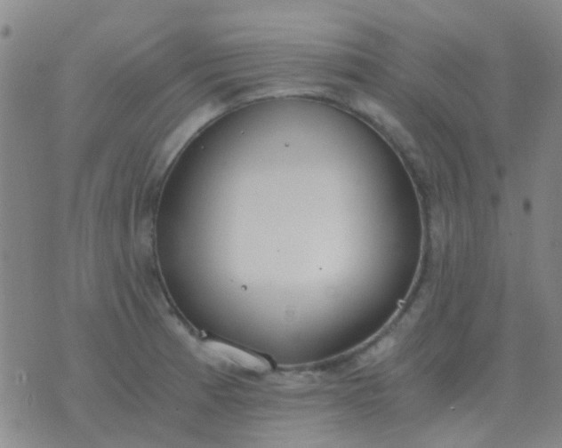 X0000076391185200610202057