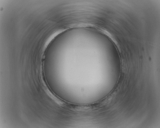 X0000076391187200610202057