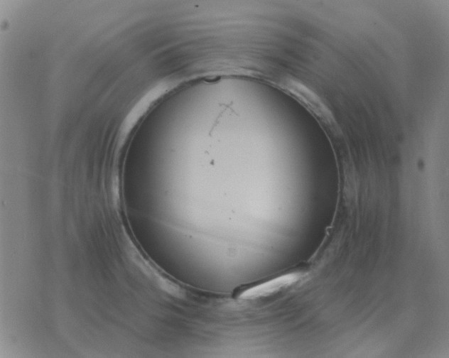 X0000076391188200610202057