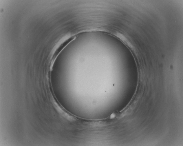 X0000076391189200610202056