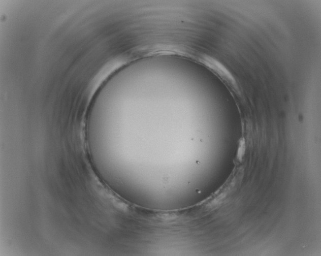 X0000076391190200610202056