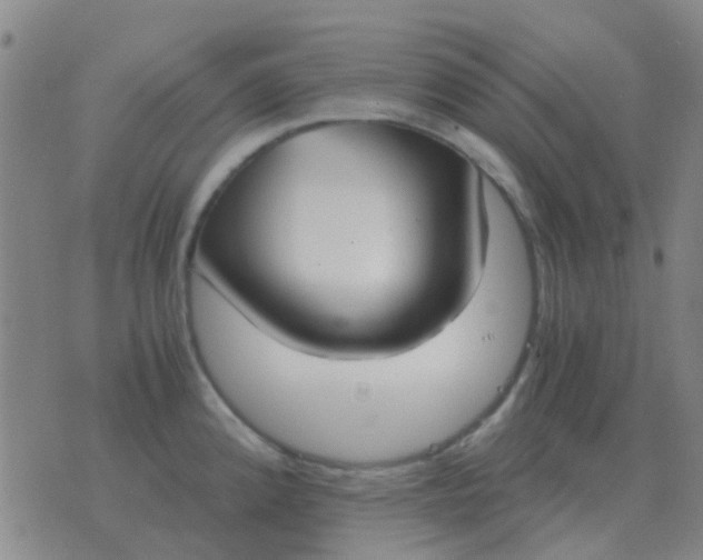 X0000076391192200610202056