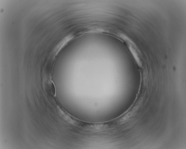 X0000076391193200610202056