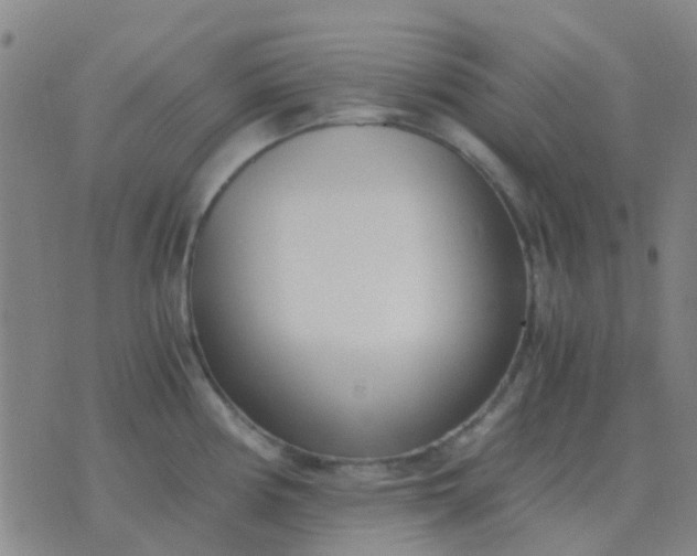 X0000076391194200610202056