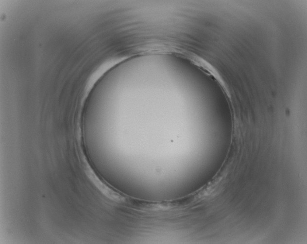 X0000076391195200610202056