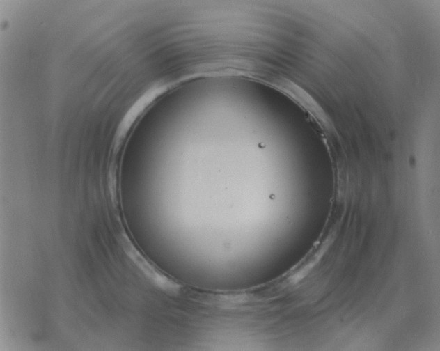 X0000076391196200610202056