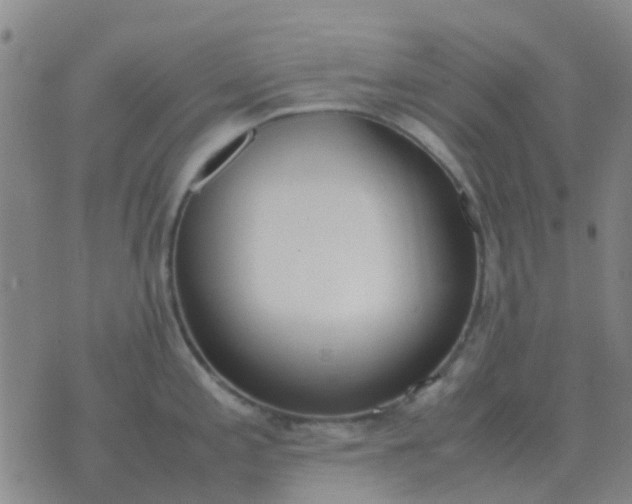 X0000076391197200610202056