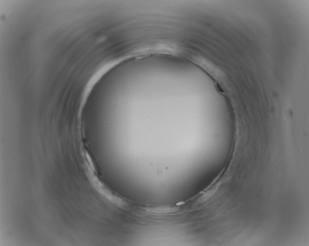 X0000076391200200610202056