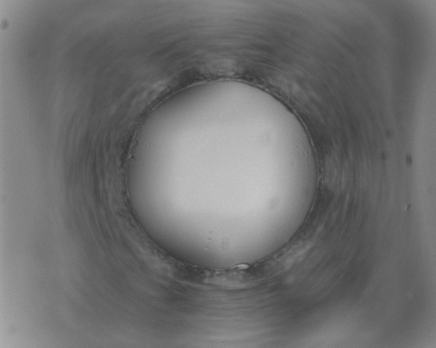 X0000076391201200610202056