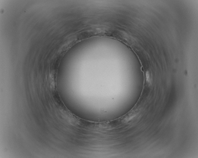 X0000076391203200610202056