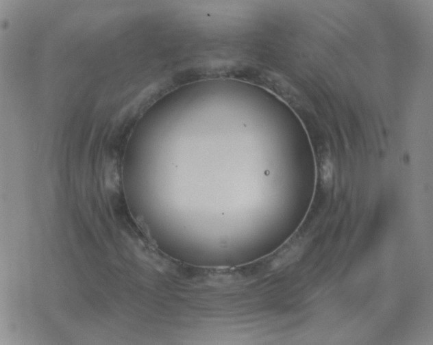 X0000076391204200610202056