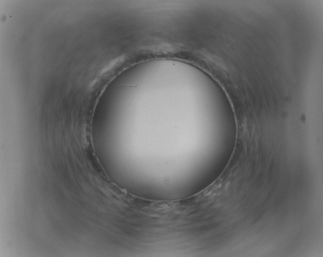 X0000076391205200610202056