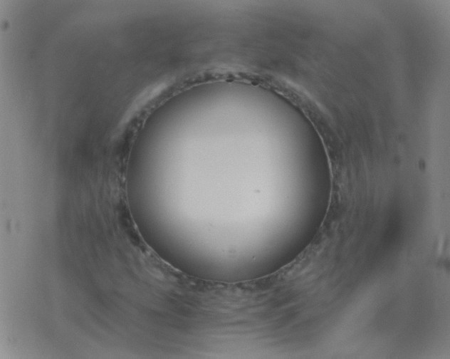 X0000076391207200610202056