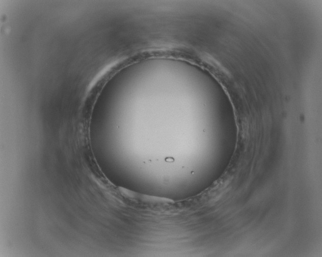 X0000076391208200610202056