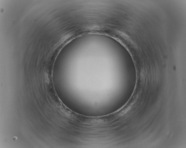 X0000076391209200610202056