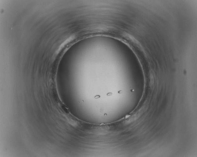 X0000076391210200610202056