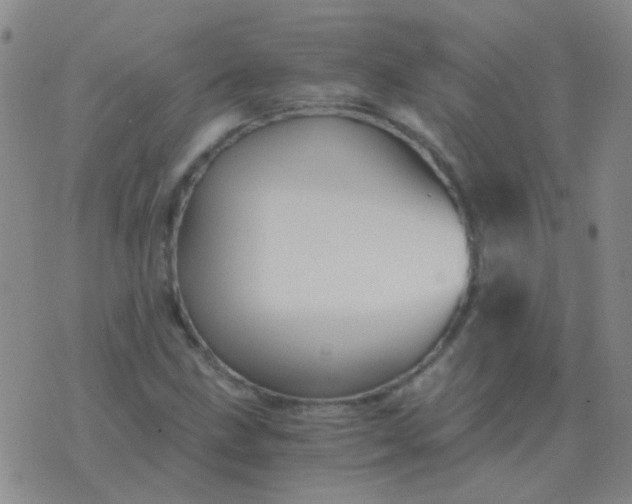 X0000076391211200610202056