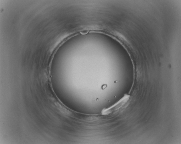 X0000076391212200610202056