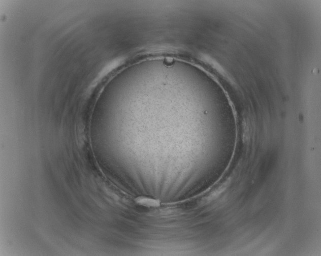 X0000076391213200610202056