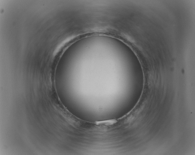 X0000076391214200610202056