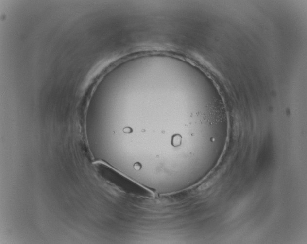 X0000076391215200610202056